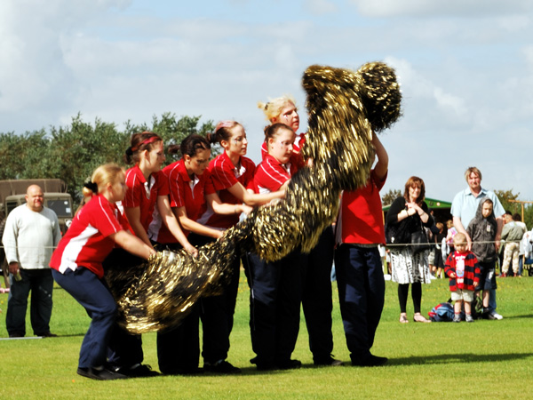 DoS 2010: The Return of Dr Syn: Medway Silver Stars